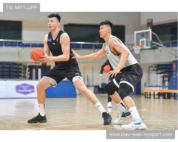 CBA联赛转会市场分析，cba联赛转会市场分析图